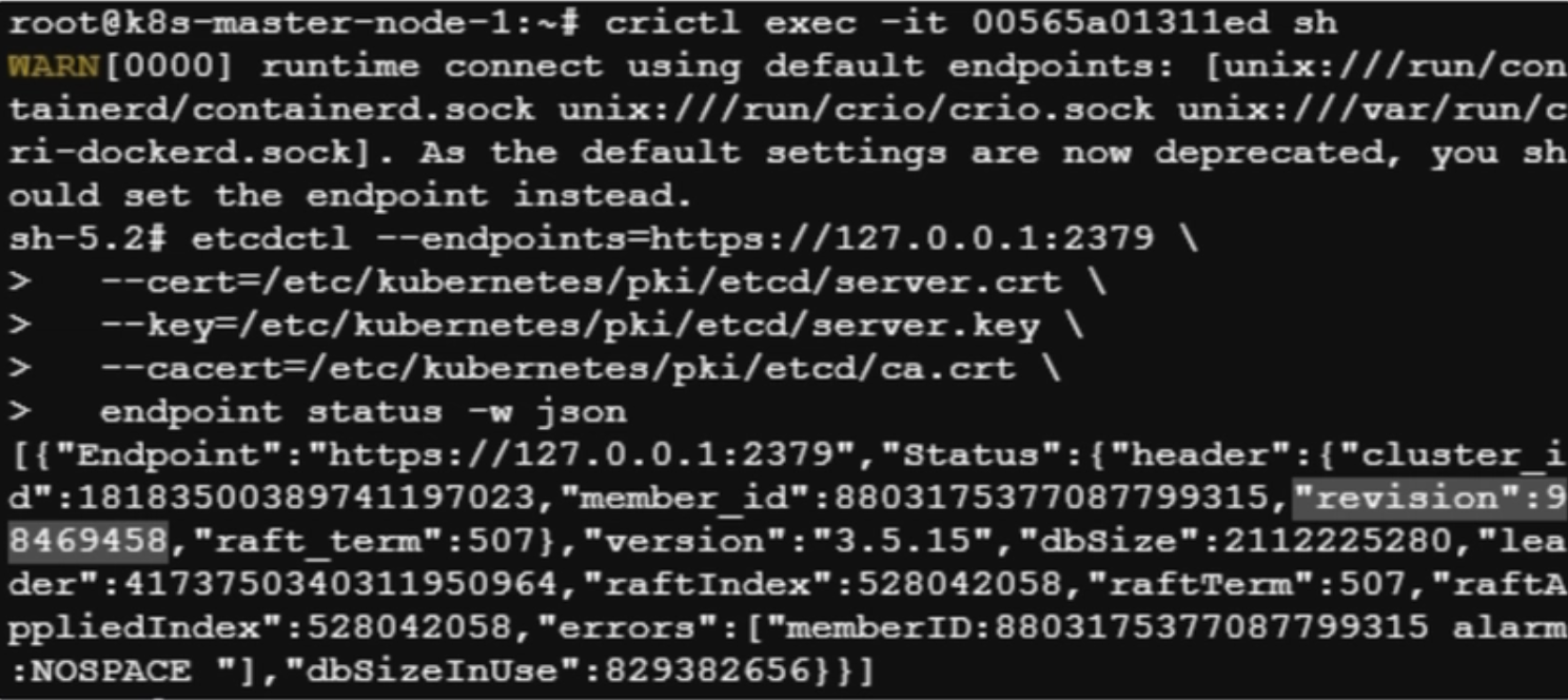 etcdctl endpoint status JSON output showing the NOSPACE alarm, current revision, and a dbSize far larger than dbSizeInUse